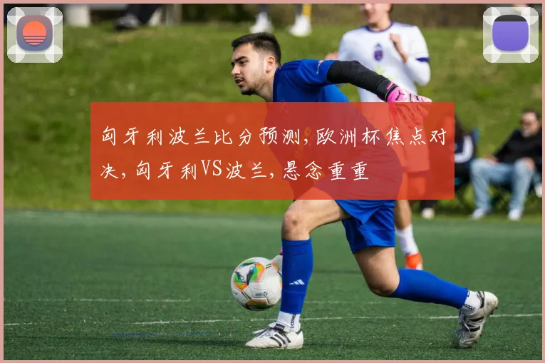 匈牙利波兰比分预测,欧洲杯焦点对决,匈牙利VS波兰,悬念重重