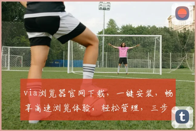 via浏览器官网下载，一键安装，畅享高速浏览体验，轻松管理，三步搞定，必备利器，不容错过