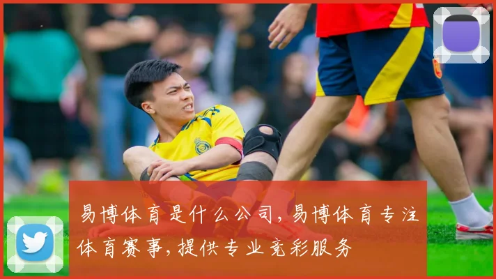 易博体育是什么公司,易博体育专注体育赛事,提供专业竞彩服务